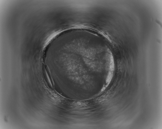 X0000098001311200804141157
