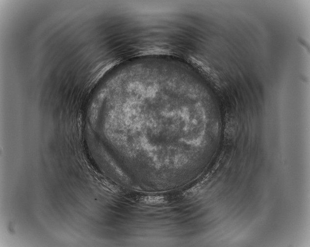 X0000098001313200804141157