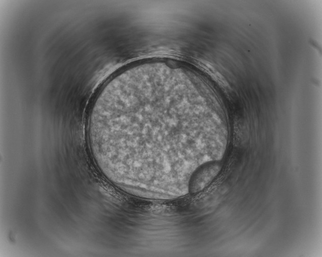 X0000098001316200804141157