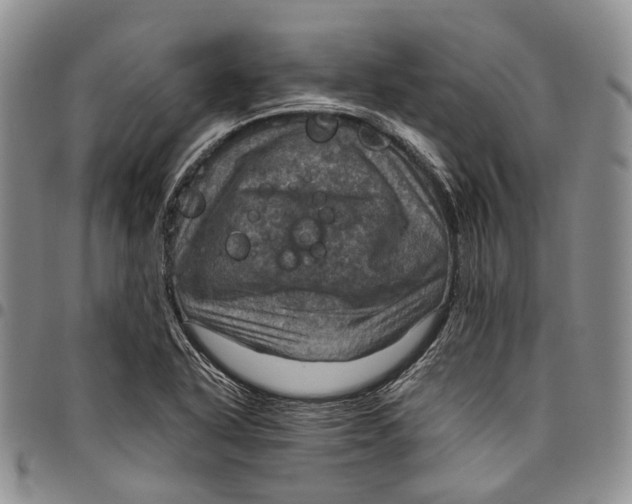X0000098001318200804141157