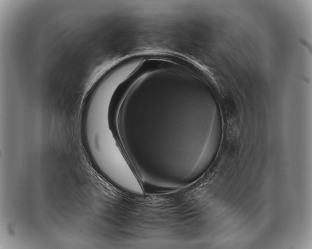 X0000098001319200804141157