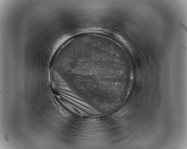 X0000098001320200804141157