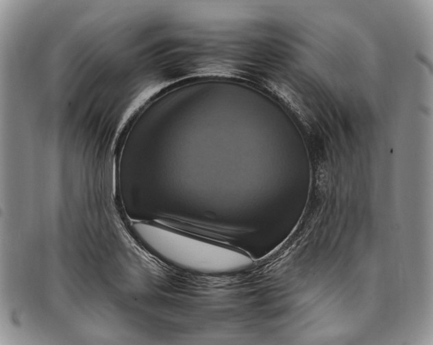 X0000098001323200804141157