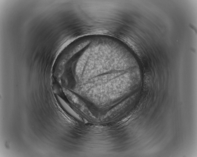 X0000098001324200804141157