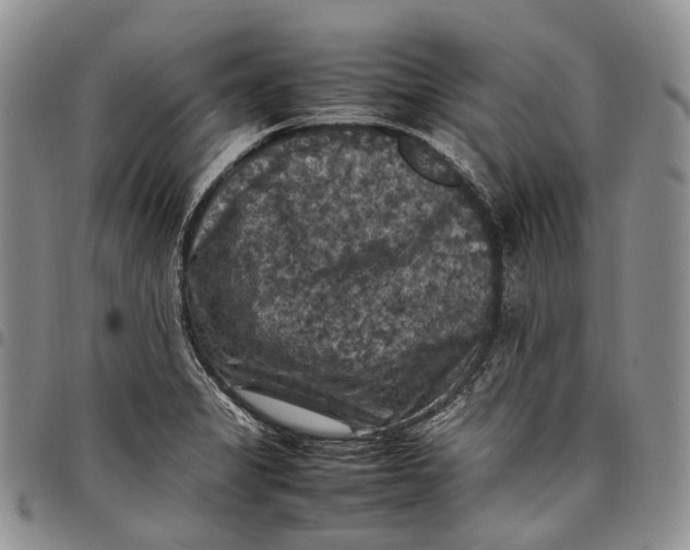 X0000098001325200804141157