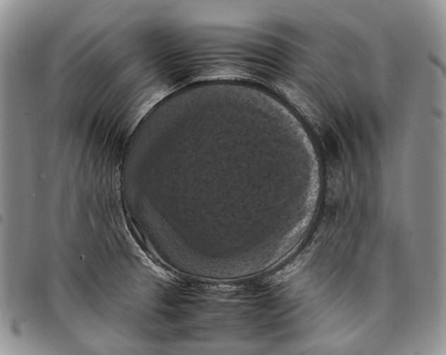 X0000098001329200804141157