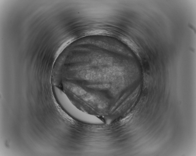 X0000098001330200804141157