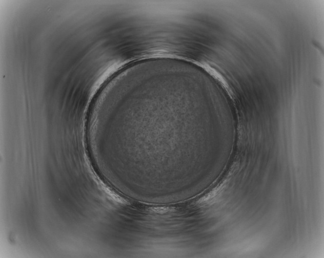 X0000098001333200804141157