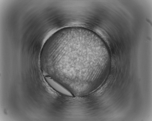 X0000098001336200804141157