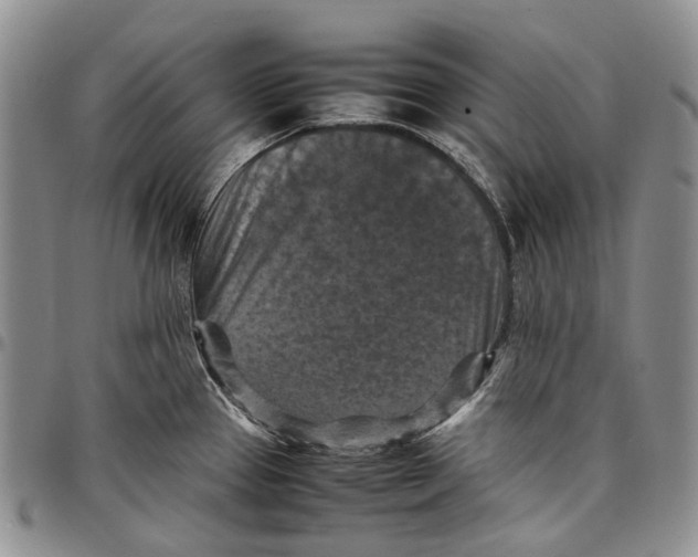 X0000098001337200804141157