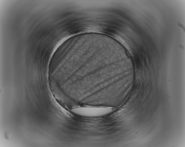 X0000098001339200804141157