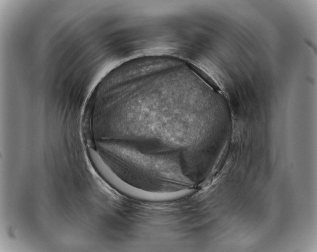 X0000098001342200804141157