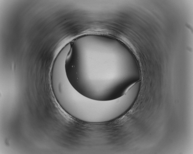 X0000098001344200804141157