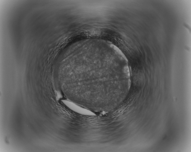 X0000098001345200804141156