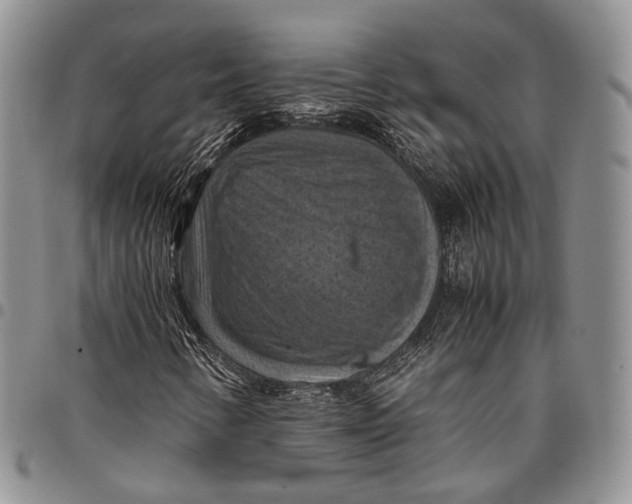X0000098001346200804141156