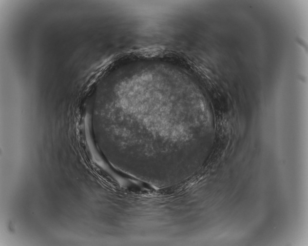 X0000098001349200804141156