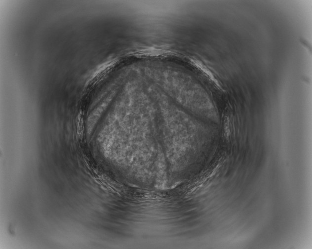 X0000098001350200804141156