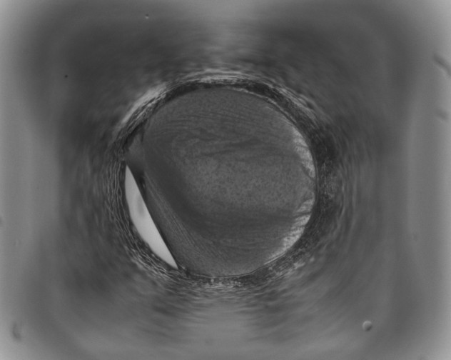 X0000098001351200804141156
