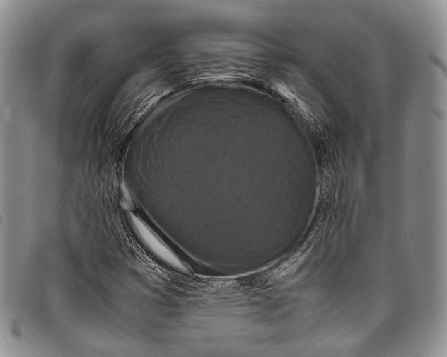 X0000098001353200804141156