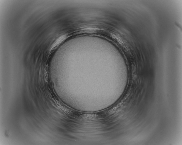 X0000098001354200804141156