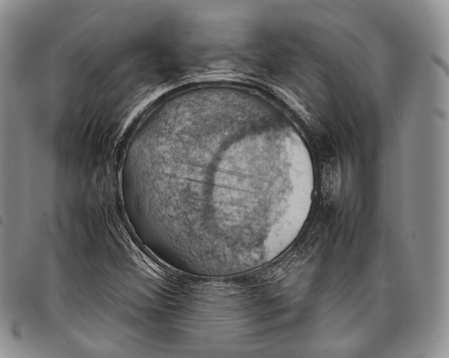 X0000098001356200804141156