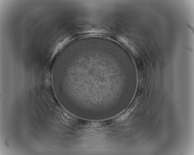 X0000098001357200804141156