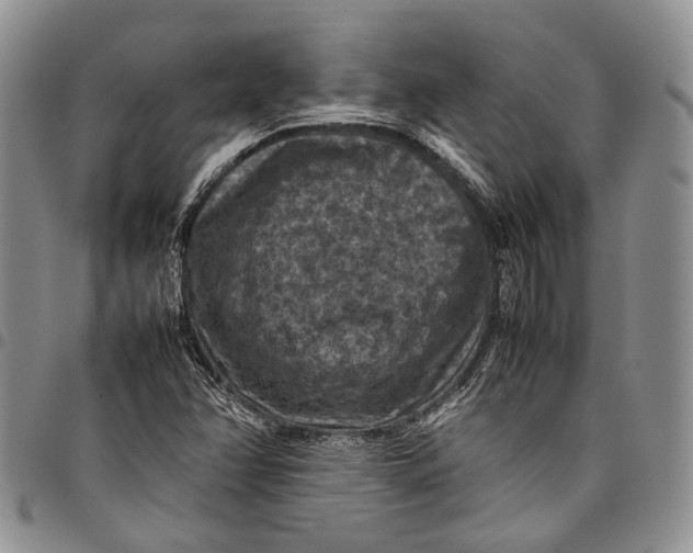 X0000098001358200804141156