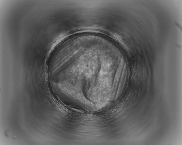 X0000098001360200804141156