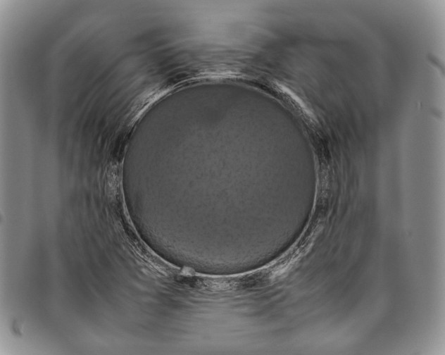 X0000098001361200804141156
