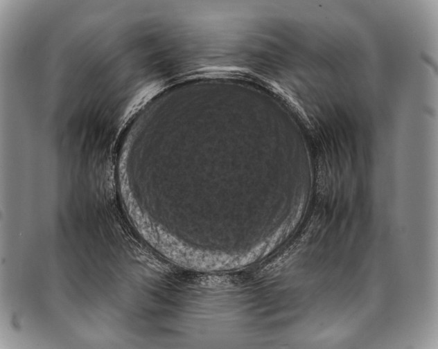 X0000098001362200804141156