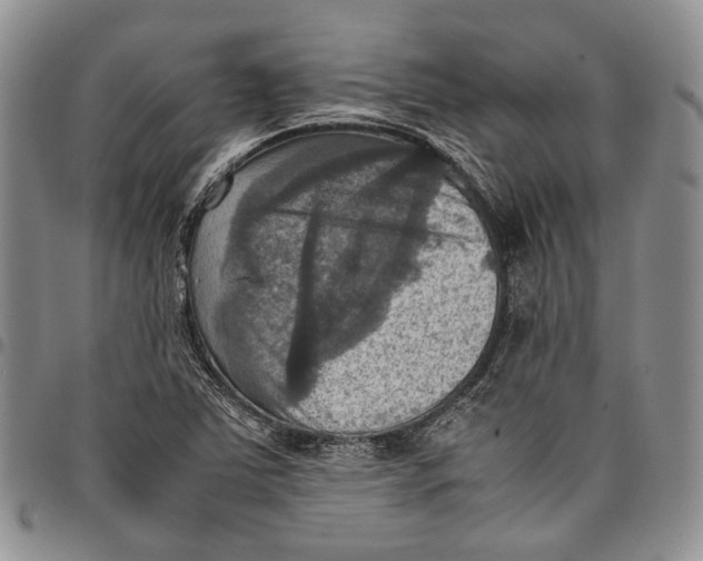 X0000098001363200804141156