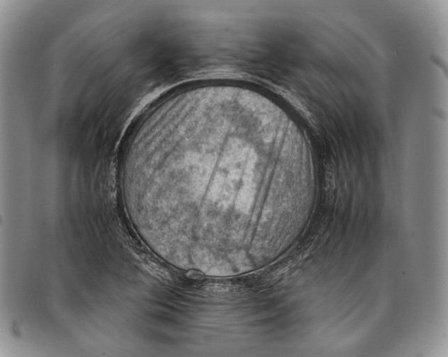 X0000098001364200804141156