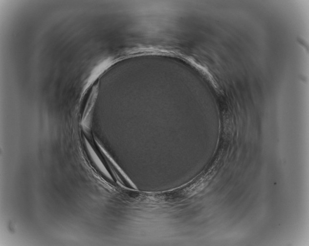 X0000098001365200804141156