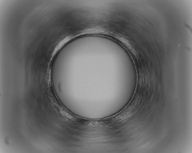 X0000098001366200804141156