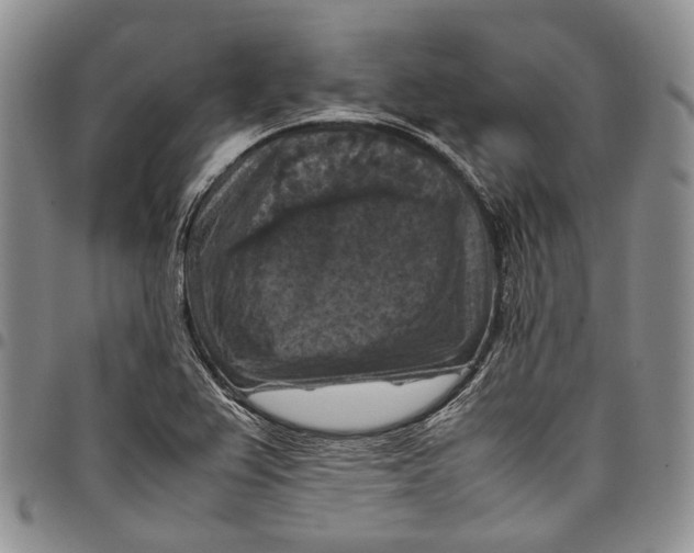 X0000098001367200804141156
