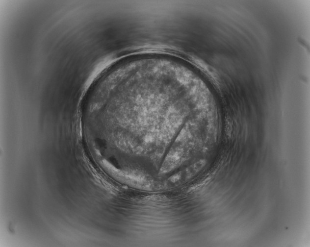 X0000098001368200804141156