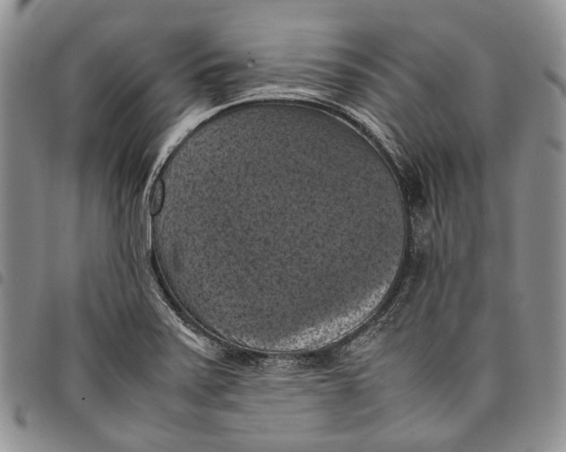 X0000098001371200804141156