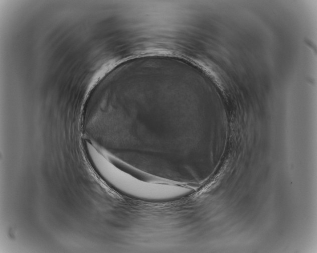 X0000098001373200804141156