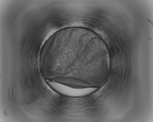 X0000098001374200804141156