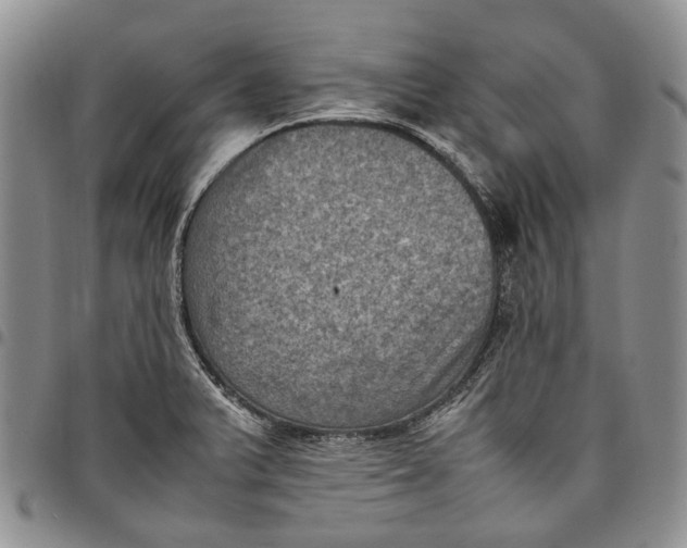 X0000098001375200804141156