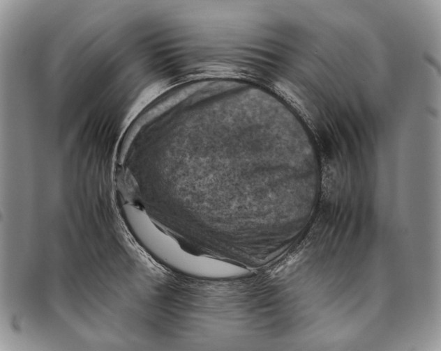 X0000098001378200804141156
