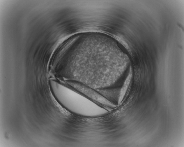 X0000098001380200804141156