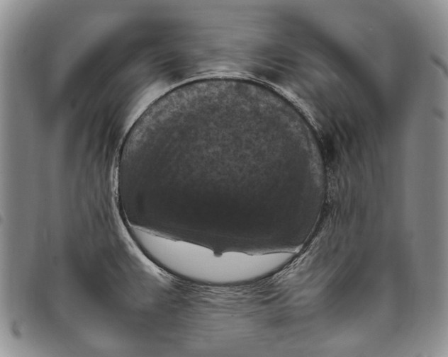 X0000098001383200804141156