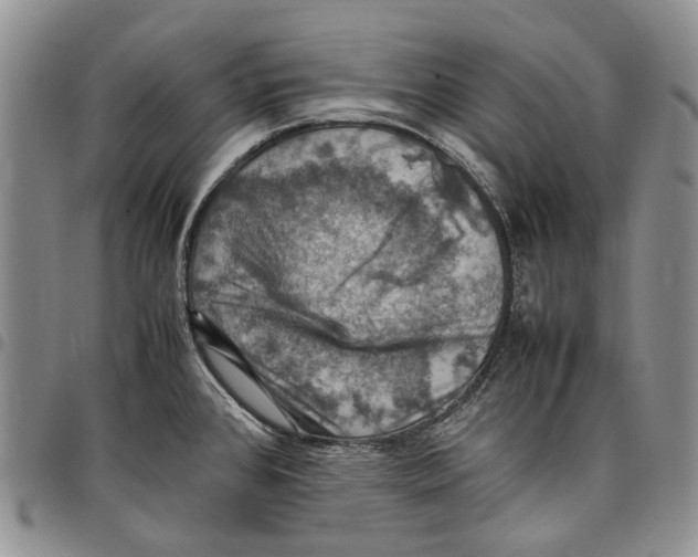 X0000098001384200804141156