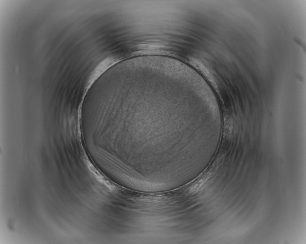 X0000098001386200804141156