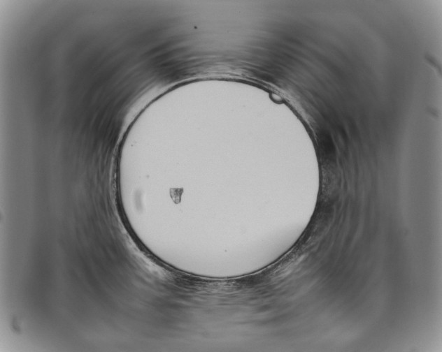 X0000098001387200804141156