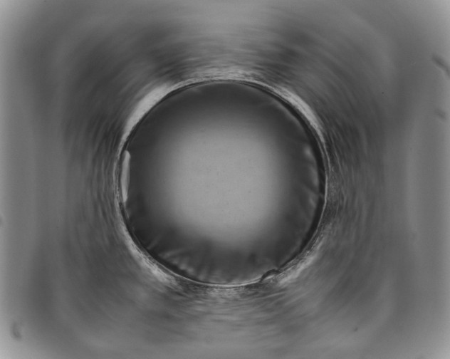 X0000098001389200804141156