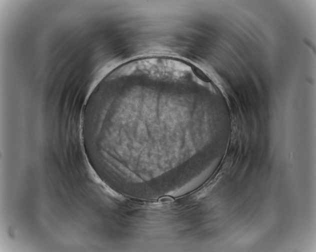 X0000098001390200804141156