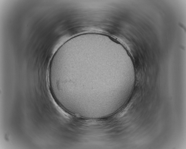 X0000098001391200804141156
