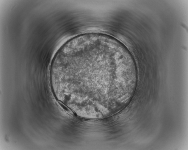 X0000098001392200804141156